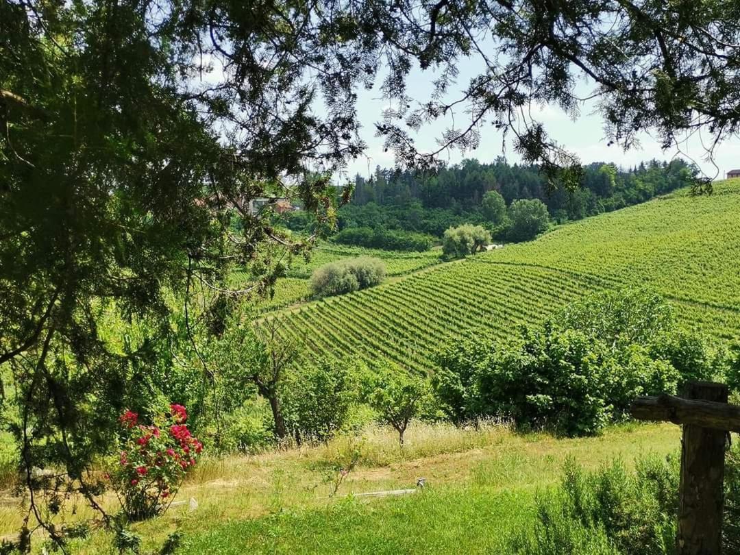 Cascina Valtignosa Camere Con Vigna Кассине Экстерьер фото