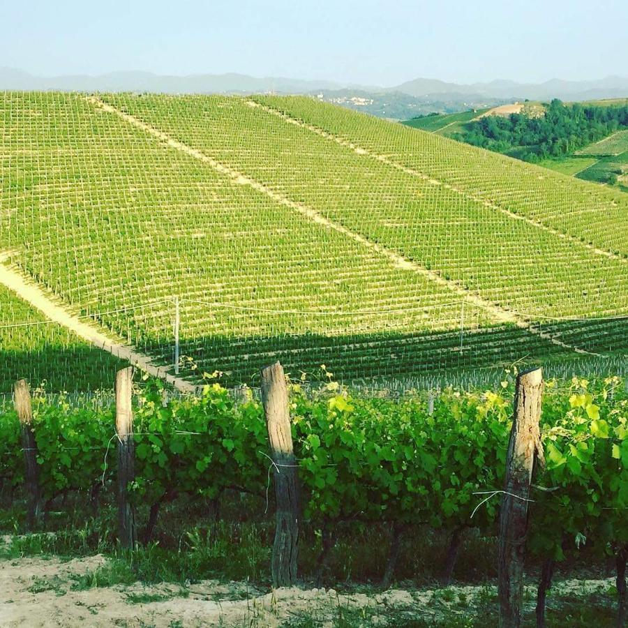 Cascina Valtignosa Camere Con Vigna Кассине Экстерьер фото