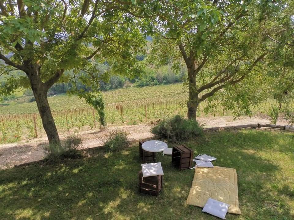 Cascina Valtignosa Camere Con Vigna Кассине Экстерьер фото