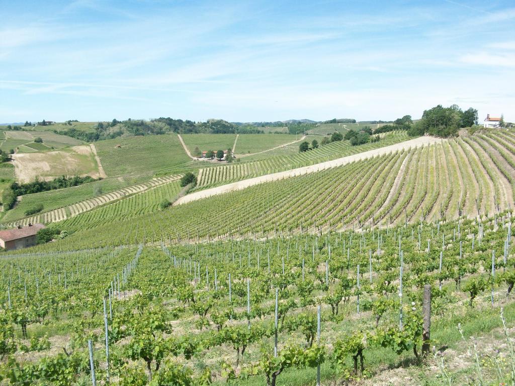 Cascina Valtignosa Camere Con Vigna Кассине Экстерьер фото